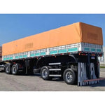 Faixa Adesiva Scania 113 Top Line Verde/Pink - 27 Peças